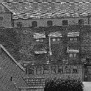 08 FZ MA Gisela Kraas Weingarten Dächerwelt